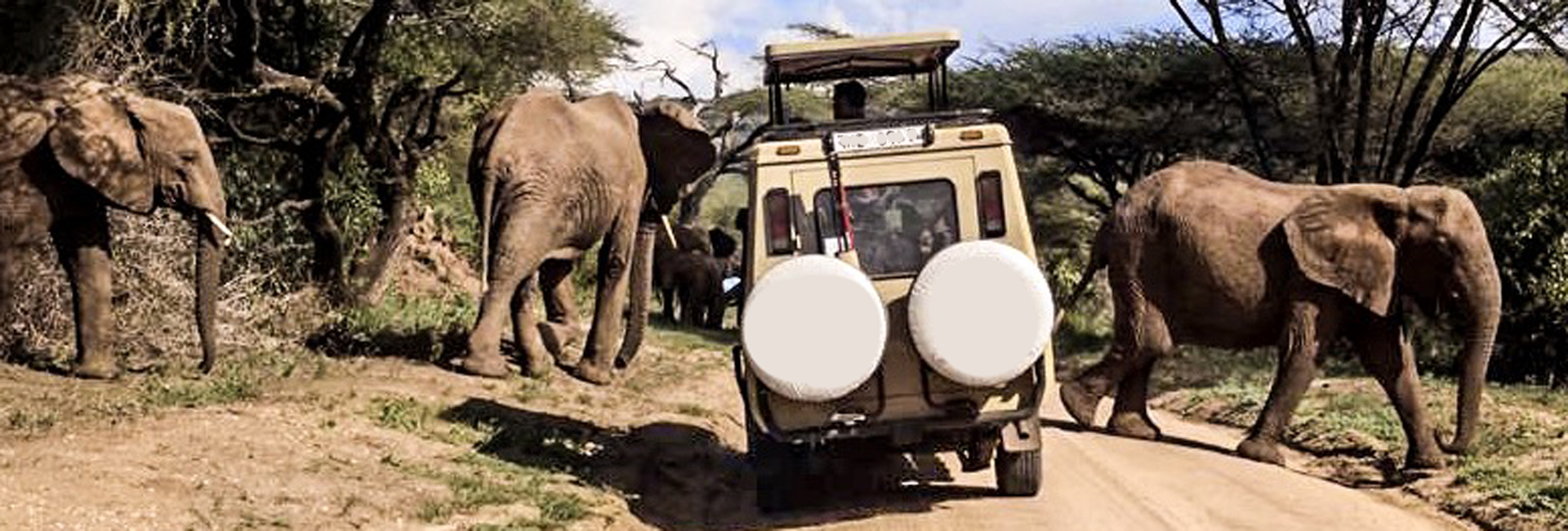 Tarangire National Park